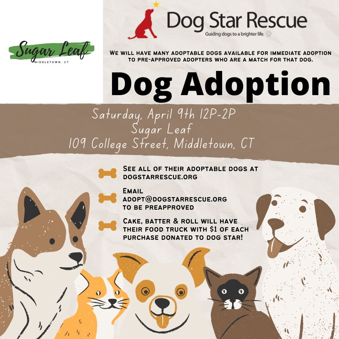 Dog Adoption Event on April 9th